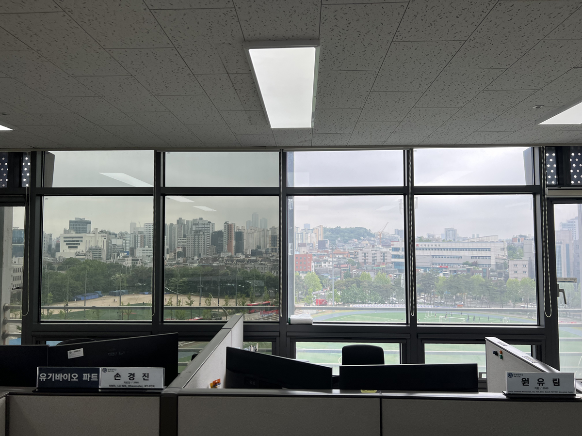 연세대학교 창문햇빛차단필름 시공 현장 1